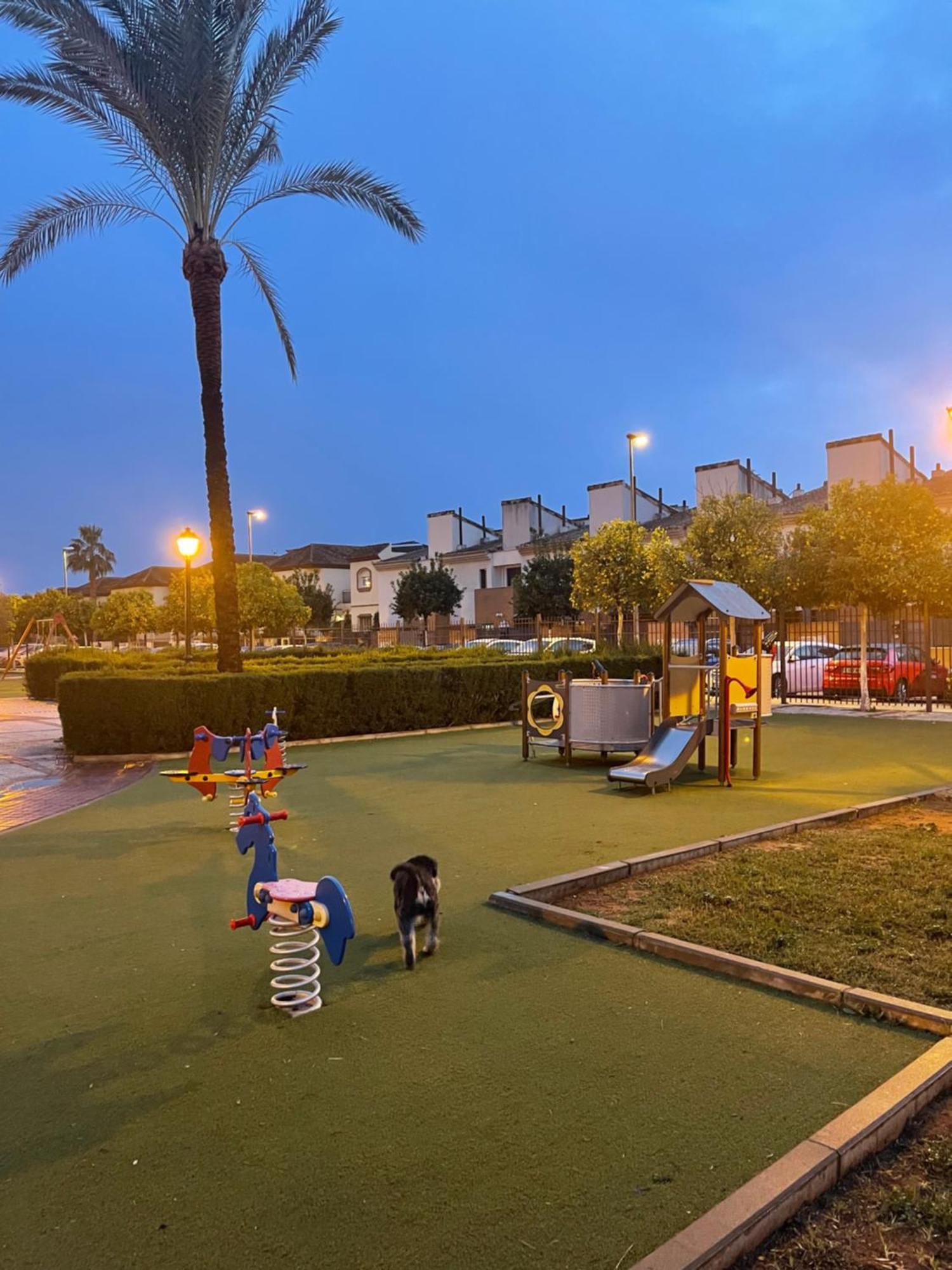 Stelarium-Suite Con Bano Privado En Casa Compartida-Uebica2 Mairena del Aljarafe Buitenkant foto
